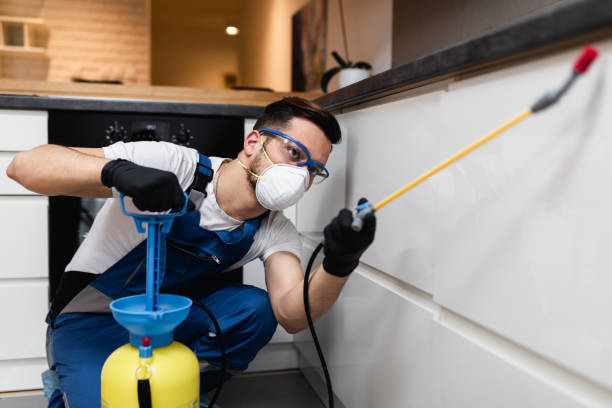Best Cockroach Control Services  in Eastwood, MI