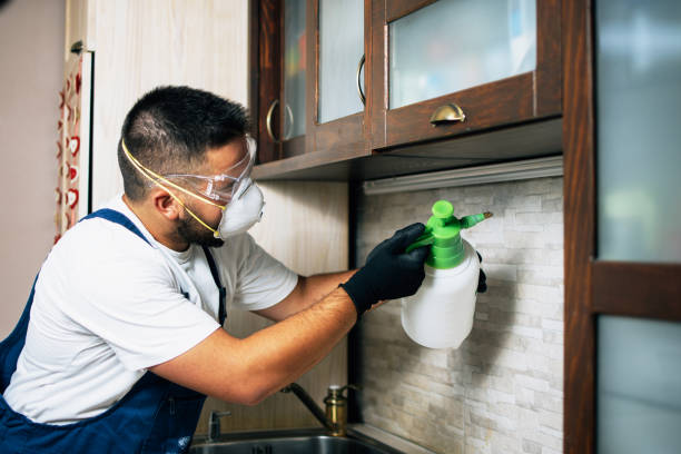 Best Cockroach Control Services  in Eastwood, MI