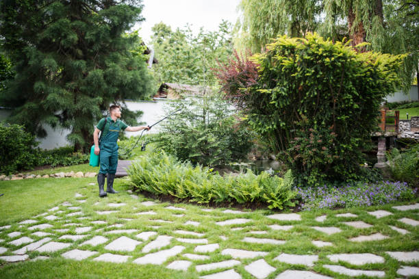 Best Pest Control Near Me  in Eastwood, MI