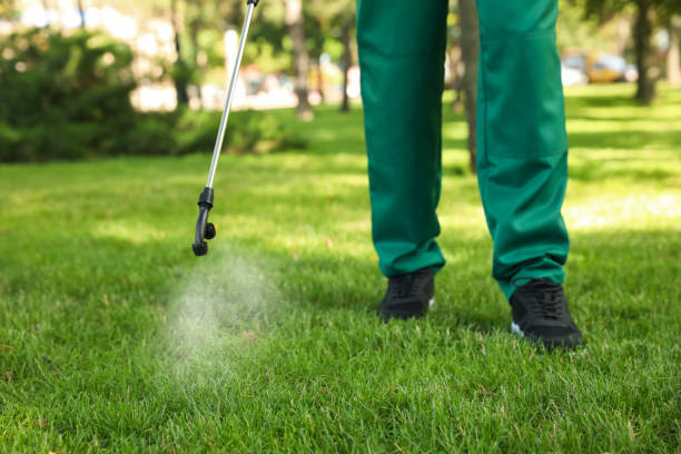 Professional Pest Control in Eastwood, MI