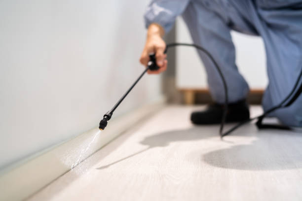 Best Termite Control Services  in Eastwood, MI