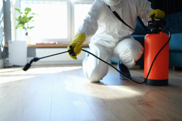 Best Insect Control  in Eastwood, MI