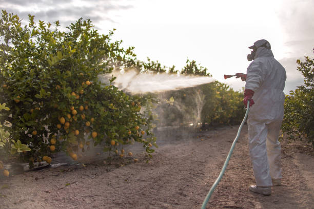 Best Bed Bug Extermination  in Eastwood, MI