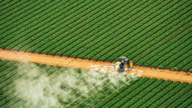 Best Ant Control Services  in Eastwood, MI
