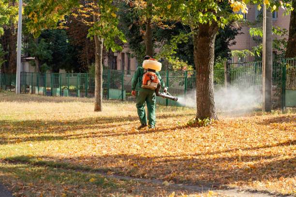 Best Rodent Control Near Me  in Eastwood, MI
