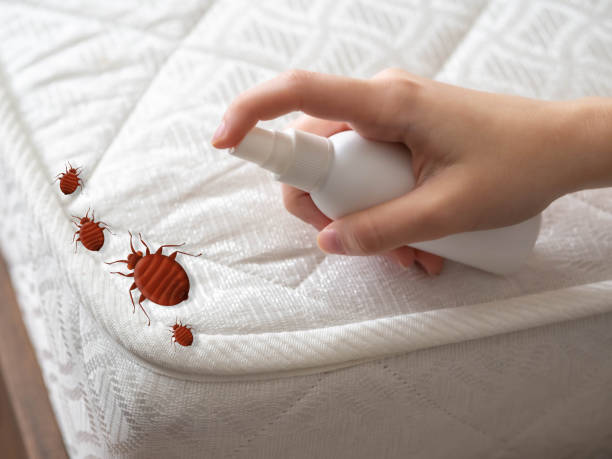 Best Mosquito Control Services  in Eastwood, MI