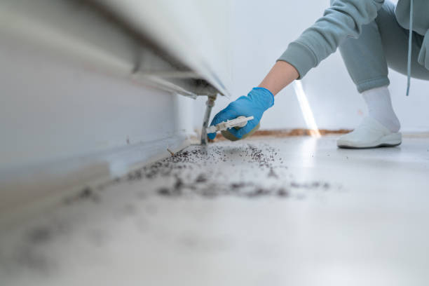 Pest Control for Restaurants in Eastwood, MI