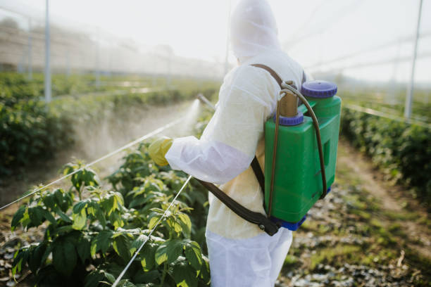 Best Wildlife Control Services  in Eastwood, MI
